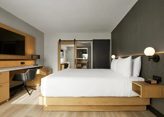 One-Bedroom King Suite